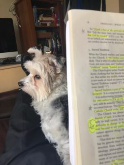 Tucker helping Fr.Fogliasso study