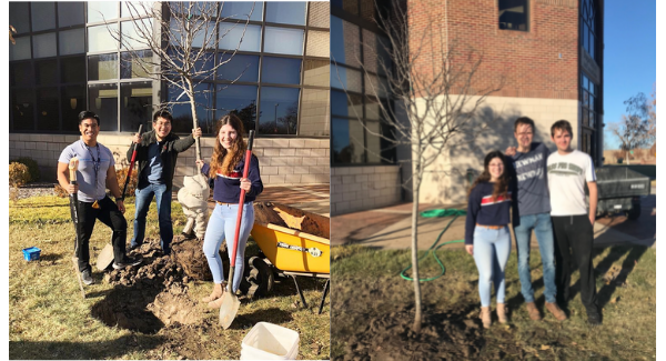 Students of the Newman Gardening Club helped plant the redbud tree outside of the Dugan Library on campus.