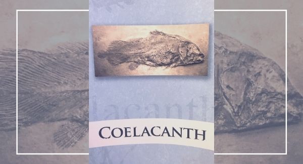The cover of the 2021 Coelacanth depicts a light blue paperback with the ancient fish, coelacanth (see-luh-kanth).
