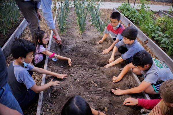 Children work together to plant vegetables in an education garden. (Photo courtesy of Children First: CEO Kansas, Inc. Facebook page)