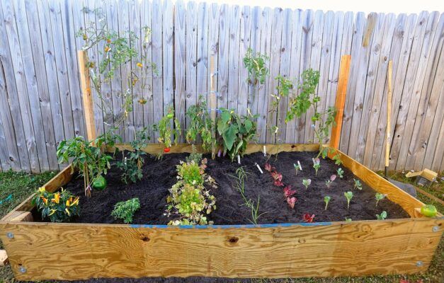 Education gardens were established to reduce food insecurity. (Photo courtesy of Children First: CEO Kansas, Inc.)