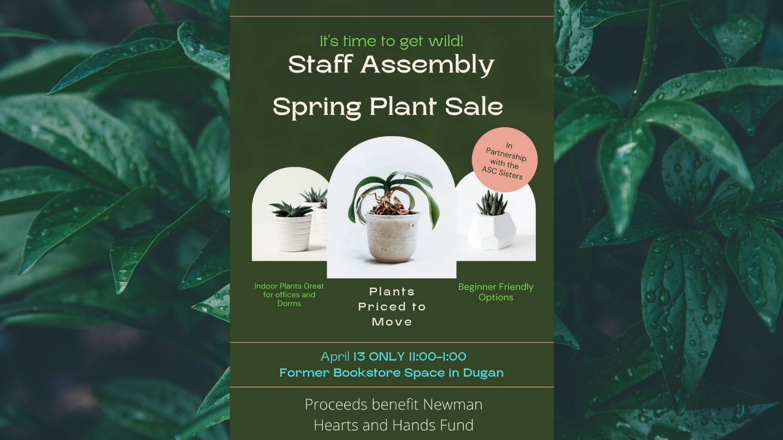 Plant fundraiser