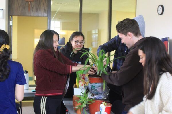 Kelly Mai helps fellow Newman Gardening Club members pot plants during a spring meeting.
