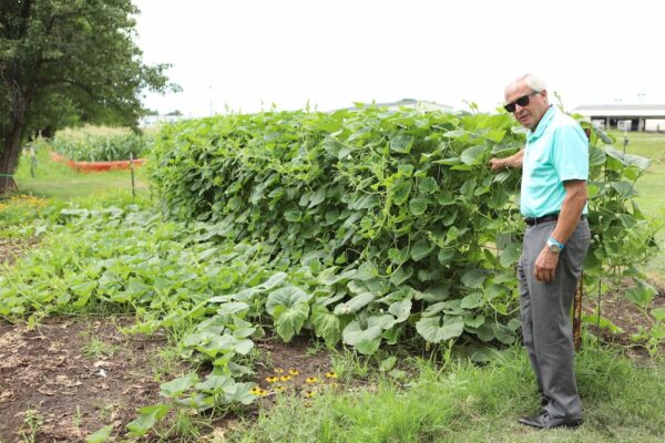Father Tom Welk shows the growing gourd plants, which will eventually be used to make more houses for purple martins.