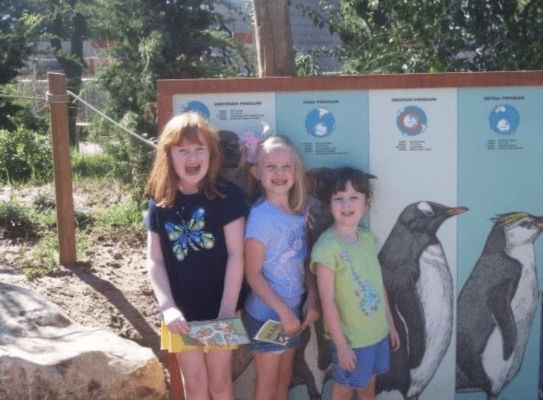 (From left to right) Paige, Brenna and Sydney Bonham compare heights with a penguin sign at the Sedgwick County Zoo. (Courtesy photo)