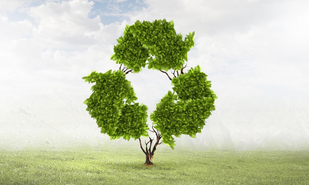 A tree with leaves shaped like the recycle symbol