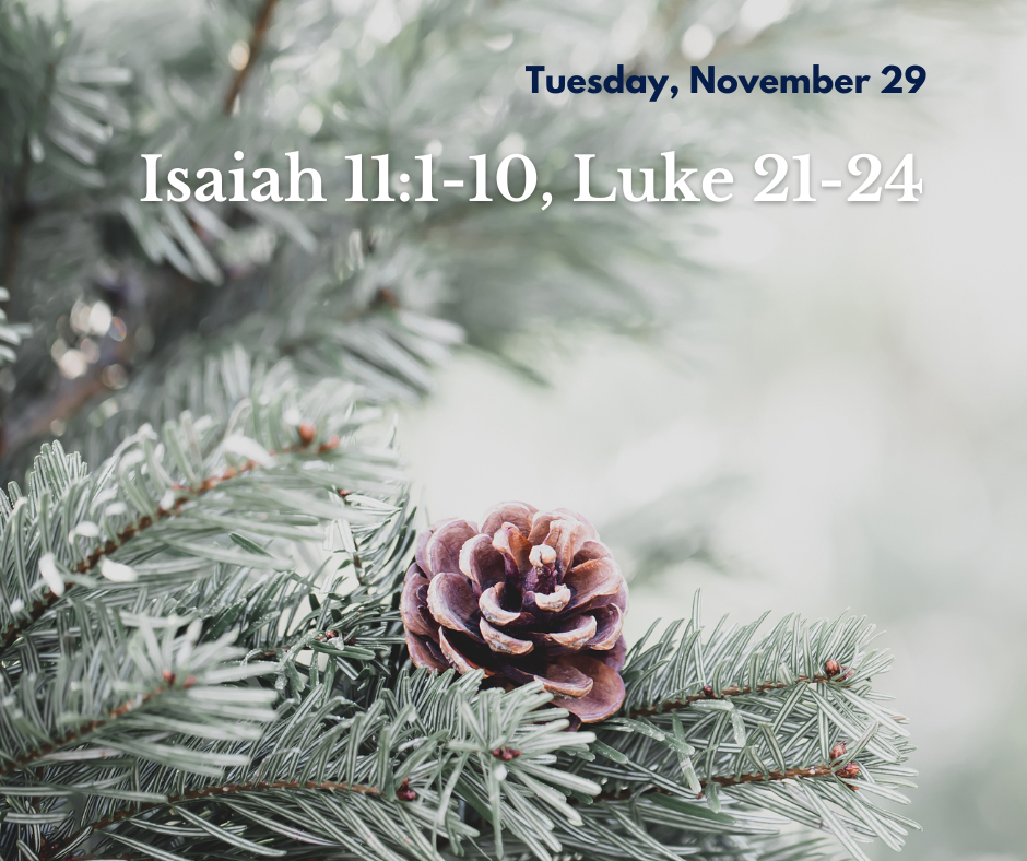 Week 1 advent season reflection series