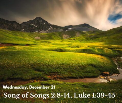 Scripture readings: Song of Songs 2:8-14, Luke 1:39-45