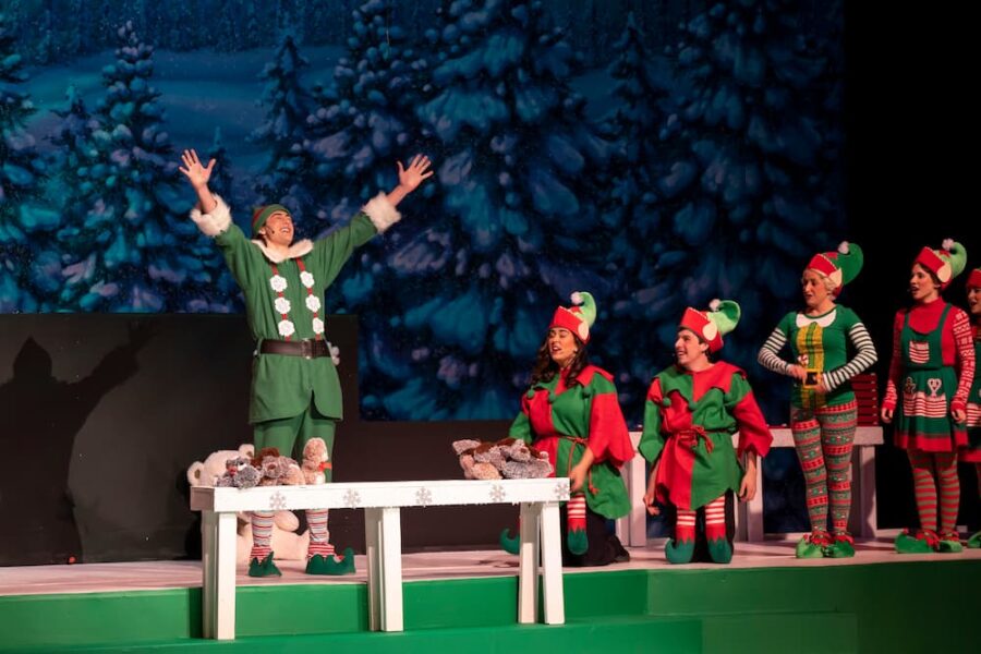 DeHoet played "Buddy" in "Elf The Musical"