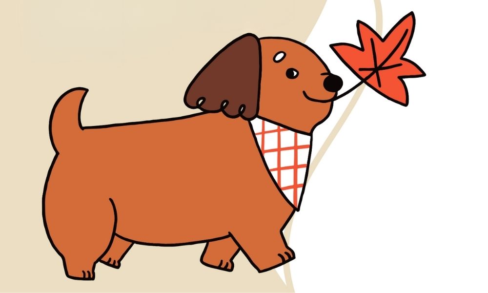 Cartoon dog walks with a fall leaf in his mouth