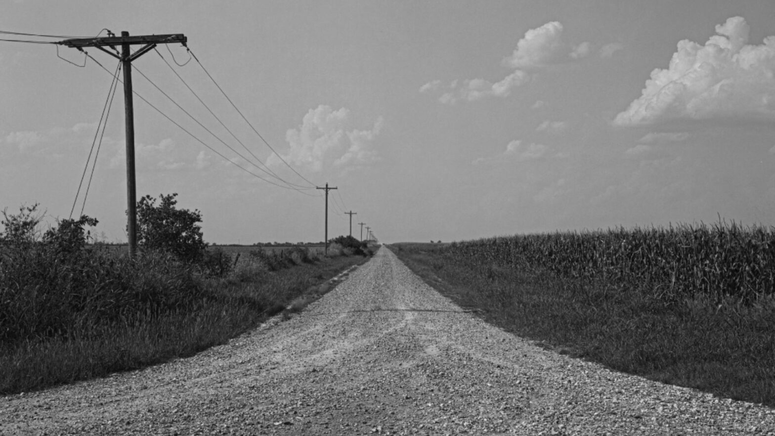 A photograph from the Kansas border, captured by artist Cary Conover.
