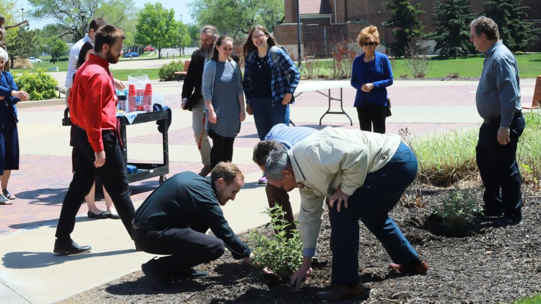 Each attendee helped plant the butterfly bushes near Founders Plaza at Newman University.