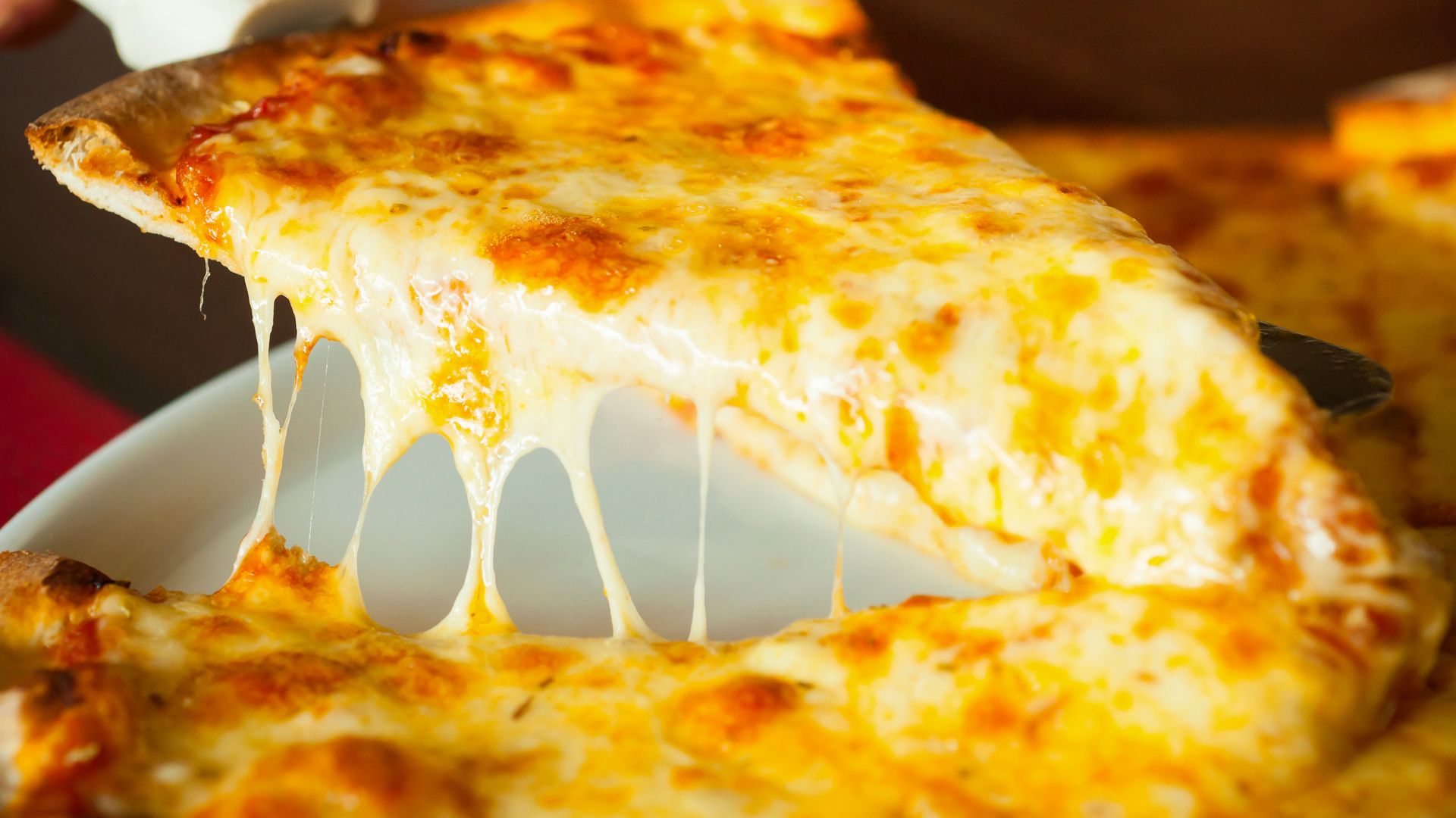 Cheese pizza being lifted from a plate with ooey gooey cheese