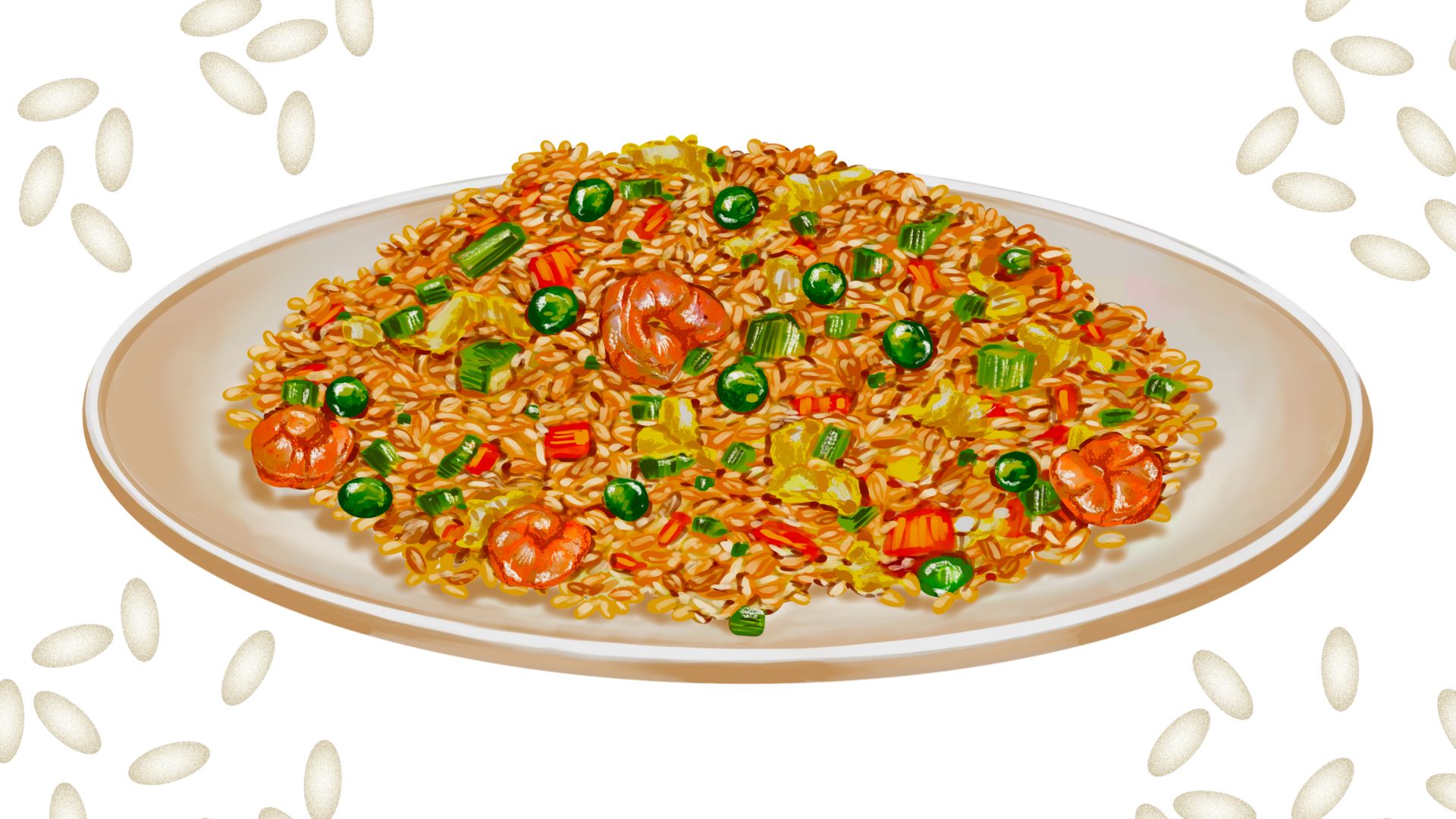 illustration of fried rice on a plate