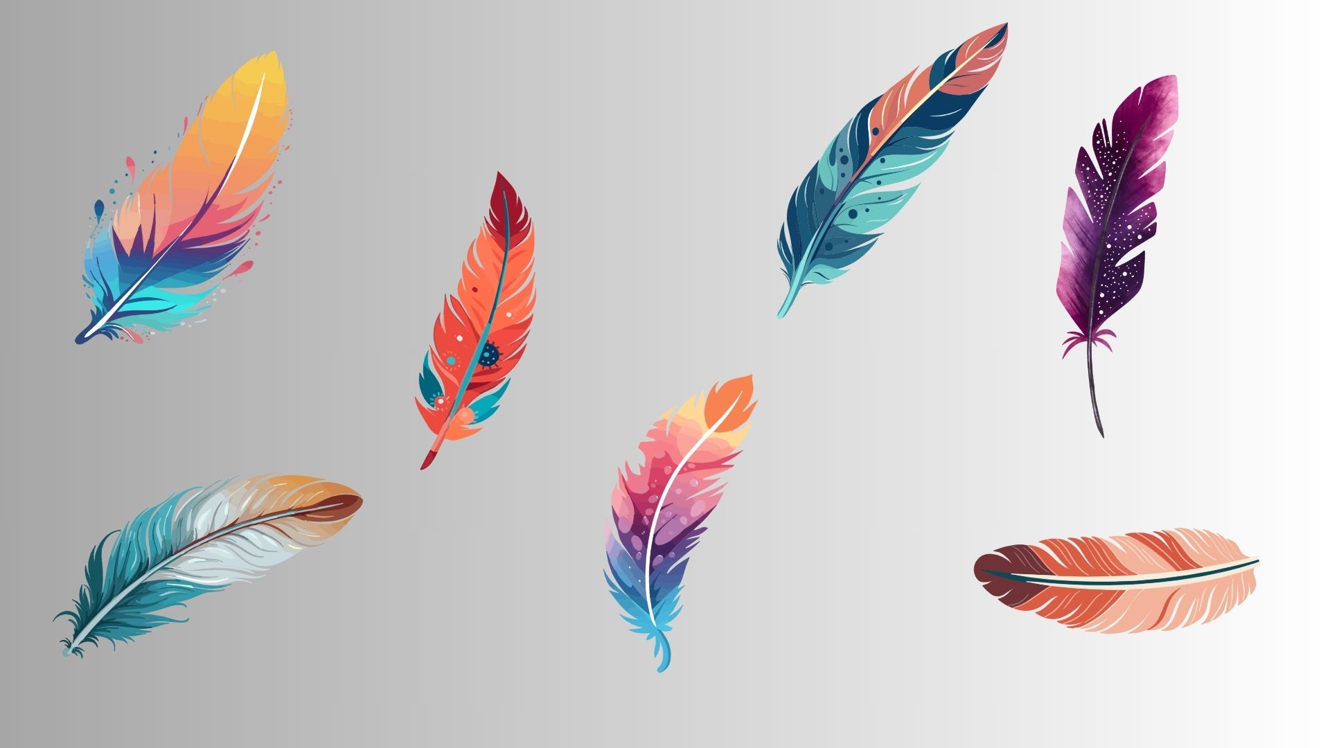 colorful feathers