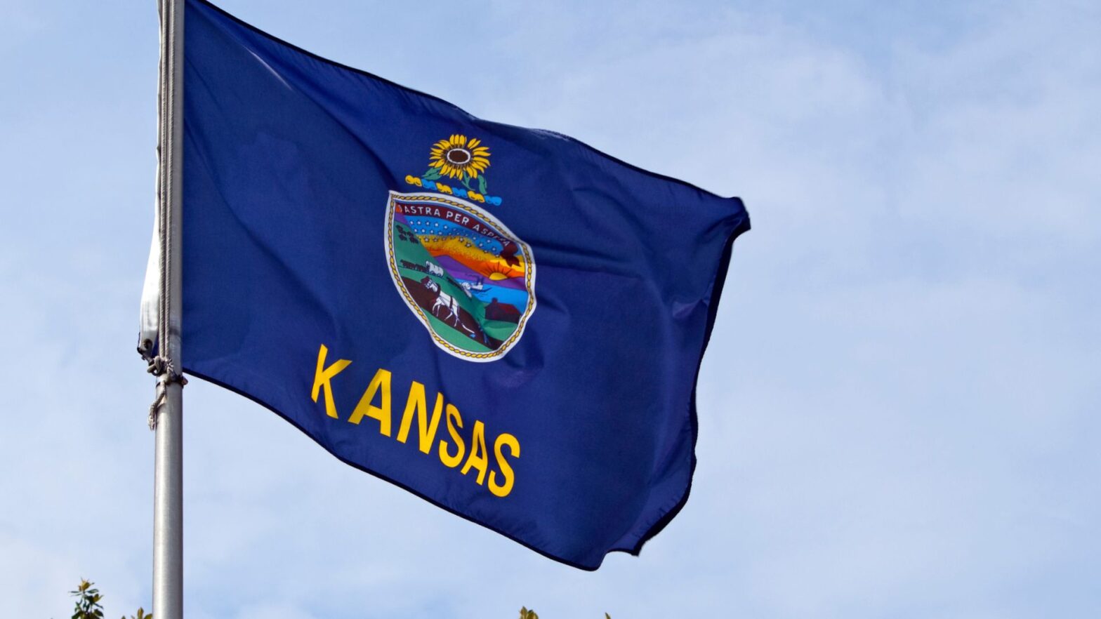 Kansas flag