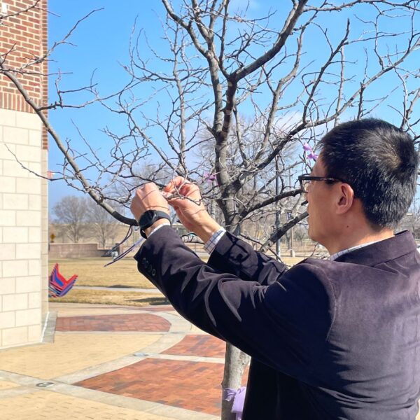 Professor Huachuan Wen ties a purple ribbon on the redbud tree in loving memory of Berg.