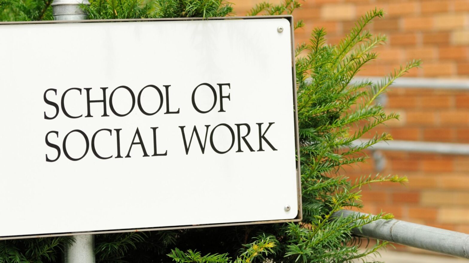 School of Social Work board