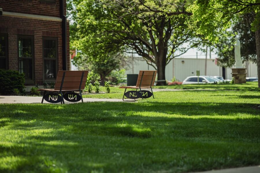 Empty benches invite reflective moments.