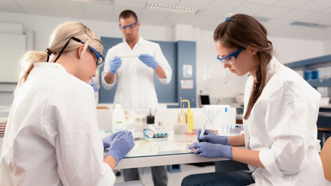 Health & Medical Professions Day