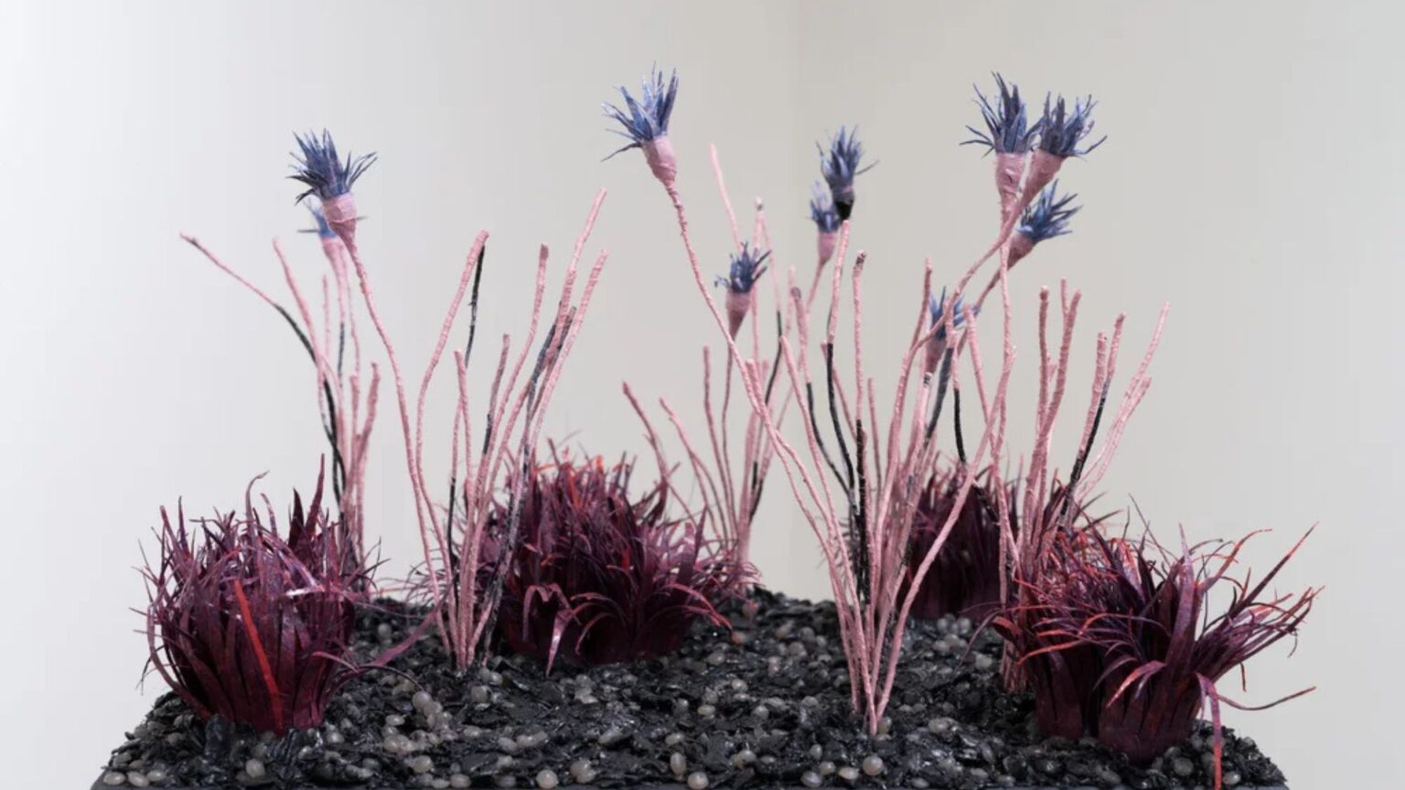 Meet the Director of the Steckline Gallery: Emily Ritter