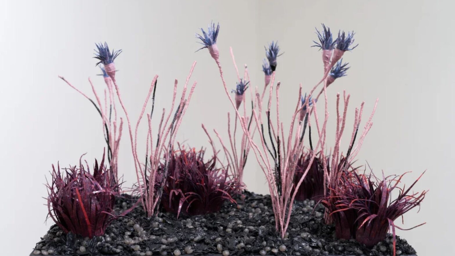 Meet the Director of the Steckline Gallery: Emily Ritter