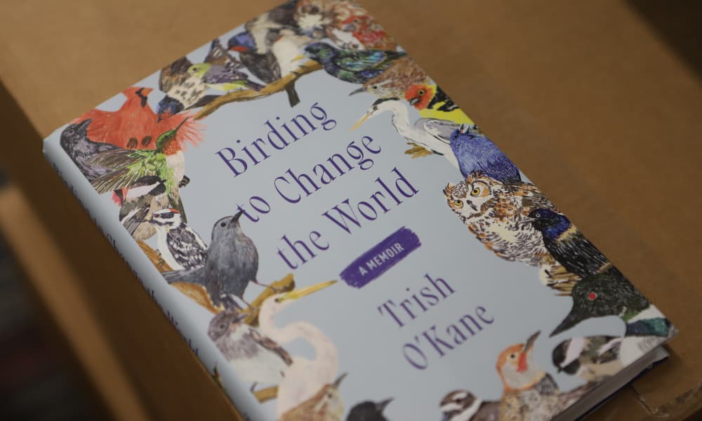 Newman University Honors Program Book 2024-25